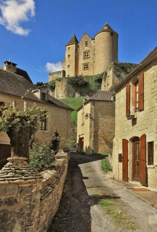 petite maison en pierre au coeur du Périgord noir Salignac Eyvigues Exterior foto